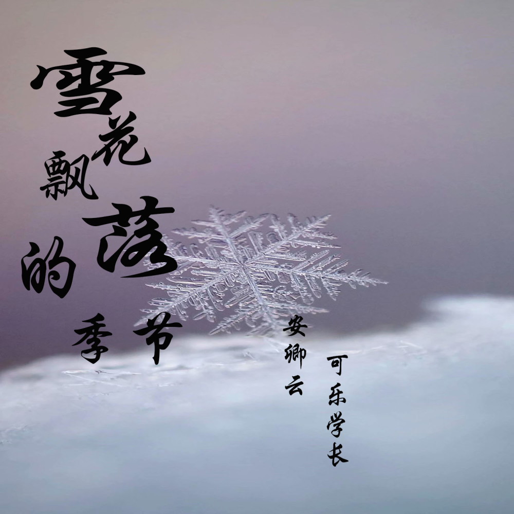 十七岁 (抖音版)