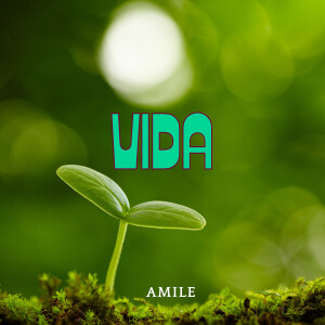 AMILE的专辑Vida