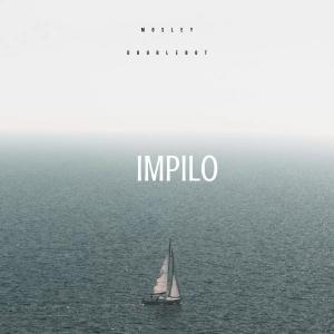Dengarkan lagu Impilo (feat. Doubledot) nyanyian Mosley dengan lirik