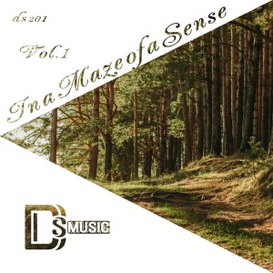 ดาวน์โหลดและฟังเพลง Blue Owl (Original Mix) พร้อมเนื้อเพลงจาก Ovel Rute