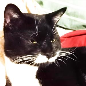 收聽Everett Latte的Undercover Martyn歌詞歌曲