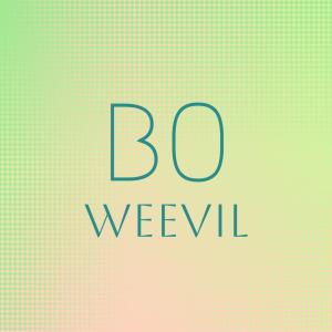 Silvia Natiello-Spiller的专辑Bo Weevil