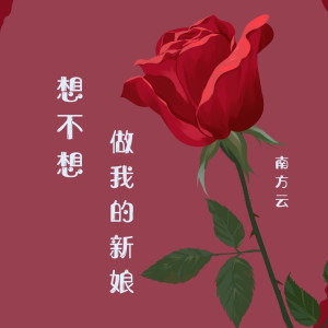 收聽南方雲的想不想做我的新娘 (伴奏)歌詞歌曲