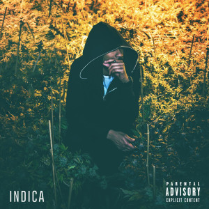 Album Indica (Explicit) from Willy J Peso