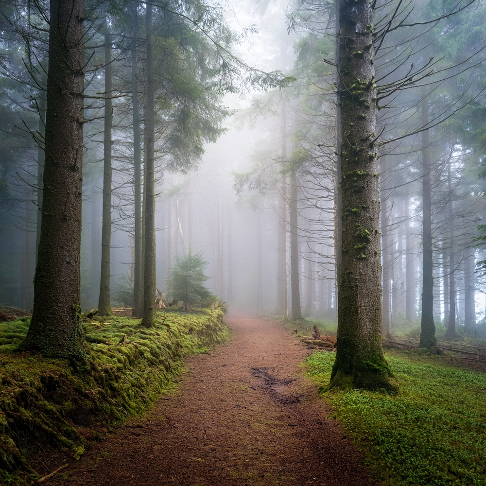 The Breath Between Two Worlds