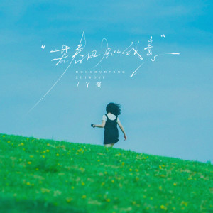 Album 若春风知我意 from 丫蛋