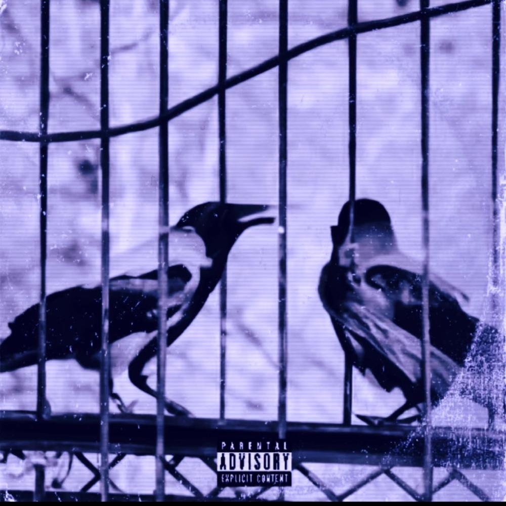 Fly Away (feat. Dimitri Devaughn & Longway) (Explicit)