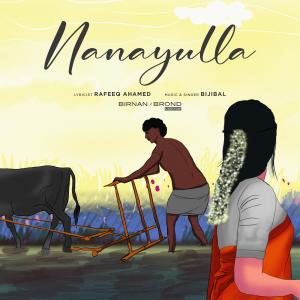 Album Nanayulla from Bijibal