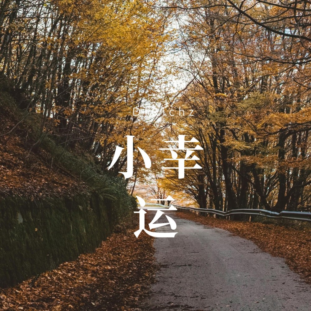 小幸运 (DJ Richz remix) (Remix)