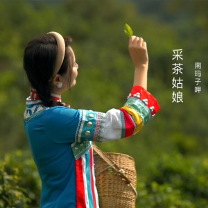 Listen to 采茶姑娘 (完整版) song with lyrics from 南玛子呷
