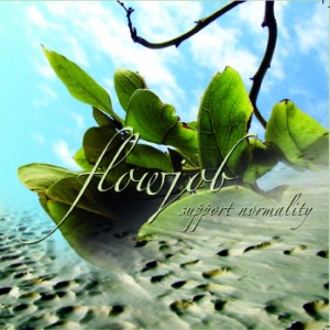 Listen to Glitter song with lyrics from Flowjob