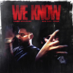 Listen to We Know song with lyrics from Harp Multani