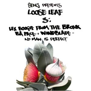 Senz Beats的專輯No Man Is Perfect (feat. Lex Boogie From The Bronx, BA Pace & Wolf Windblade) (Explicit)