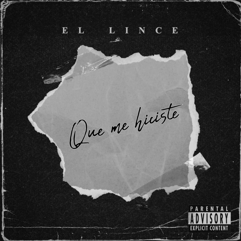 Que me hiciste