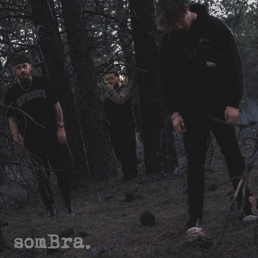 Sombra (feat. ZVY., Darias & Callouz) (Explicit)