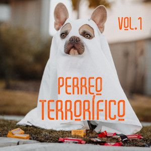 อัลบัม Perreo Terrorífico Vol. 1 (Explicit) ศิลปิน Various