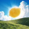 default album img
