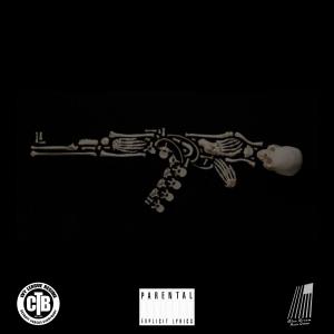 ดาวน์โหลดและฟังเพลง Bruce Lee (Explicit) พร้อมเนื้อเพลงจาก Career the Brain