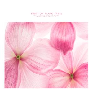 Listen to Warm sunshine song with lyrics from Daily Piano