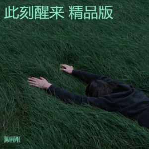 Album 此刻醒来 精品版 from 阿普亚虹