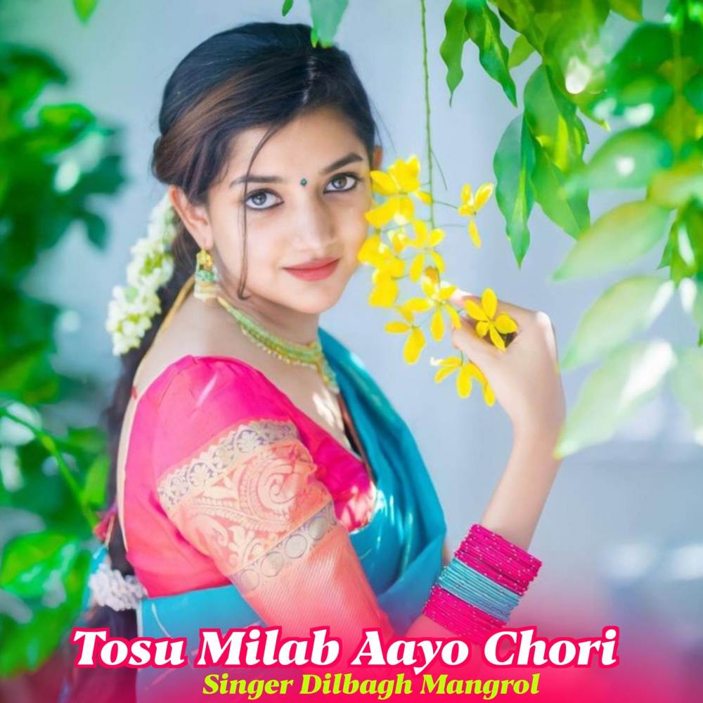 Tosu Milab Aayo Chori