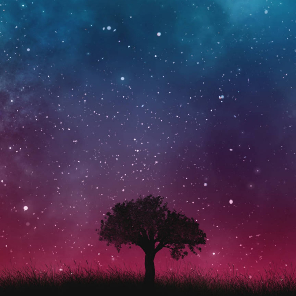 The Universe