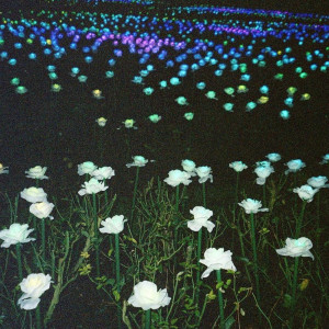 收听Sin Fang的The Dark歌词歌曲