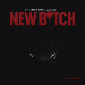Album New Bitch (Explicit) oleh Drumma Boy