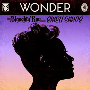 收聽Naughty Boy的Wonder (Kidnap Kid Remix)歌詞歌曲