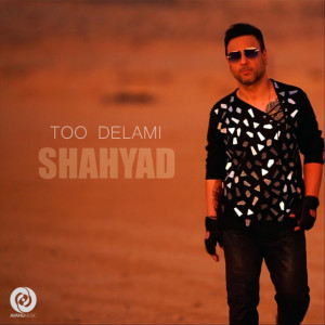 Shahyad的專輯Too Delami