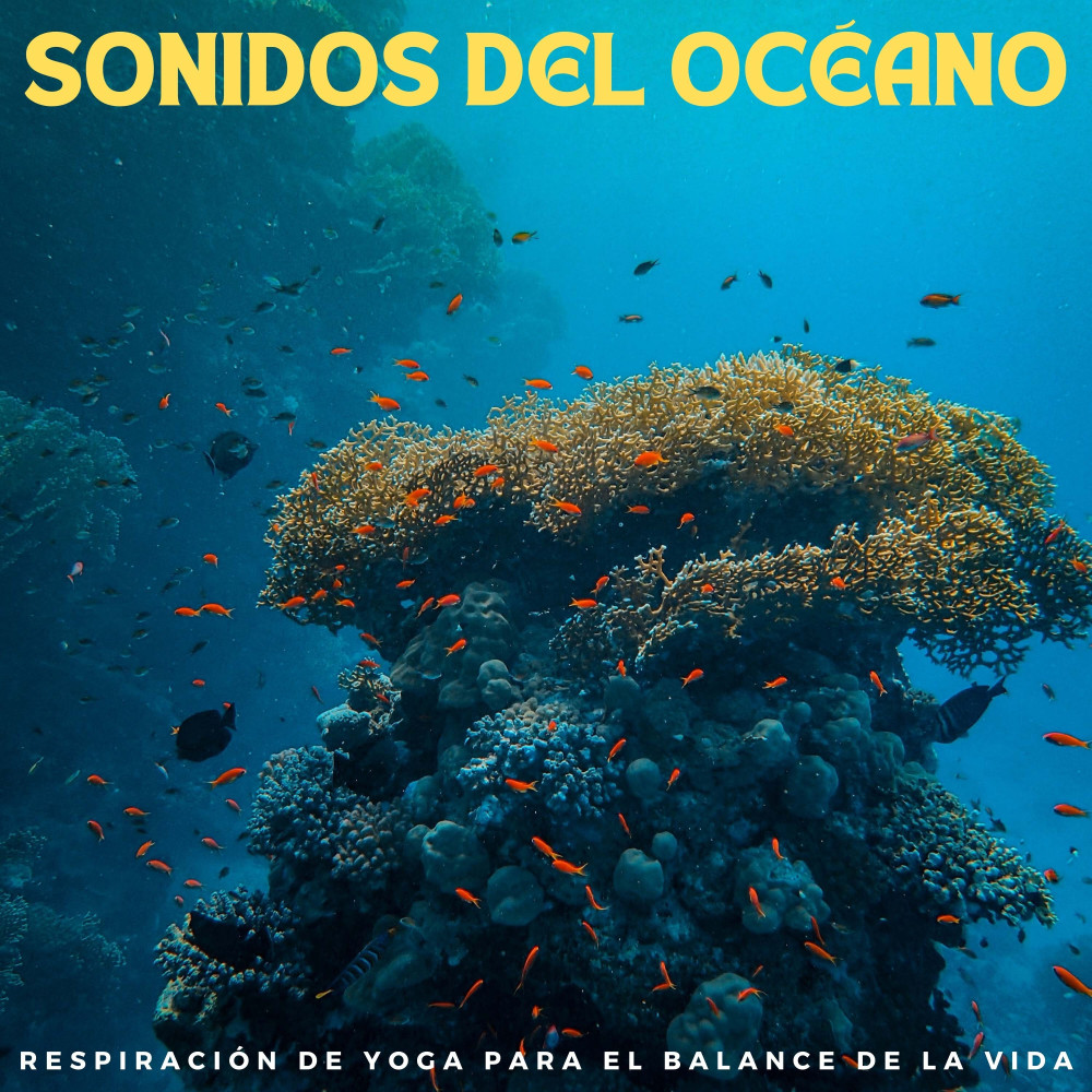 Yoga Por Los Días Soleados
