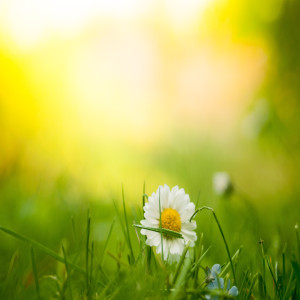 收听Academia de Relaxamento e Meditação的Spiritual Calm歌词歌曲