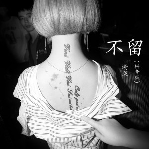 收听谢成的不留 (Remix伴奏) (伴奏)歌词歌曲