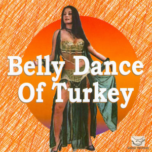 ดาวน์โหลดและฟังเพลง Unhappy Wanderer พร้อมเนื้อเพลงจาก Indigo Istanbul