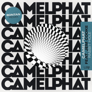 ดาวน์โหลดและฟังเพลง Rabbit Hole (Bontan Remix) พร้อมเนื้อเพลงจาก CamelPhat