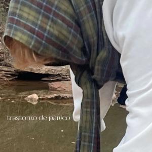 Stxssy的專輯trastorno de pánico (Explicit)