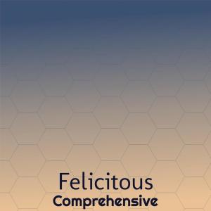 Album Felicitous Comprehensive oleh Various