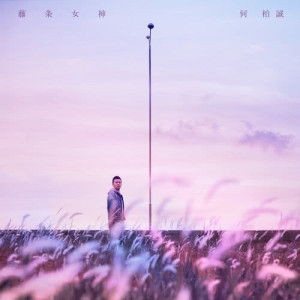 Listen to 藤条女神 song with lyrics from 何柏诚