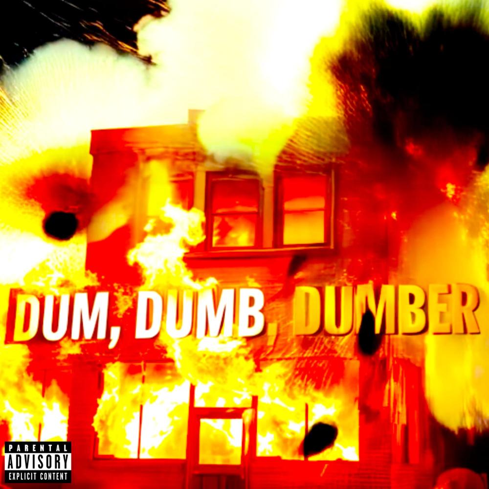 DUM, DUMB, DUMBER