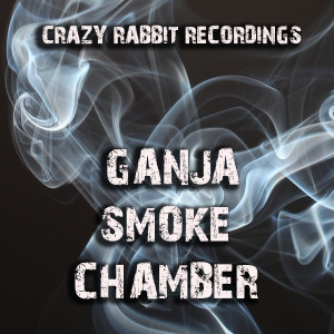 Listen to Indian Killa song with lyrics from Azotek