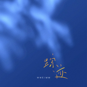 Listen to 踪迹 (伴奏) song with lyrics from wweimm微米