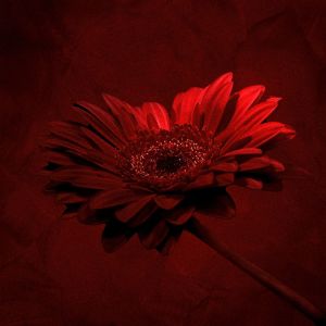 Album Uğruna Yazdım from 