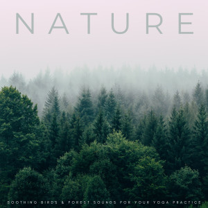 Massage Music的專輯Nature: Soothing Birds & Forest Sounds For Your Yoga Practice
