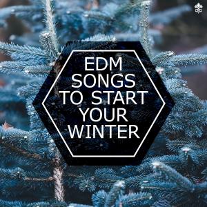 EDM Songs To Start Your Winter dari Various