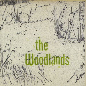 ดาวน์โหลดและฟังเพลง King and Queen พร้อมเนื้อเพลงจาก The Woodlands