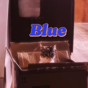 Don-Yen的專輯Blue (Explicit)