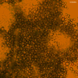 收聽Tec 77的High Definition歌詞歌曲