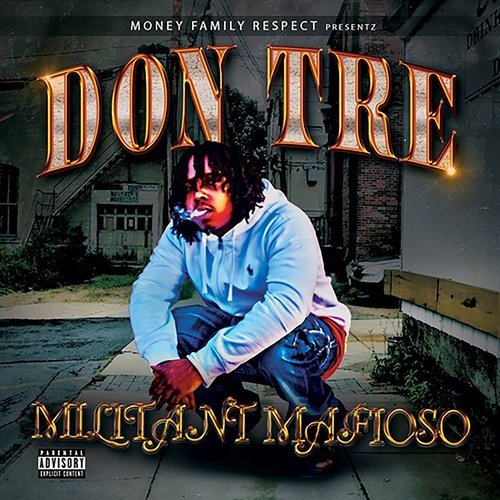 N the Hood (feat. Train Treyz, Twezzy 2 Threez) (Explicit)