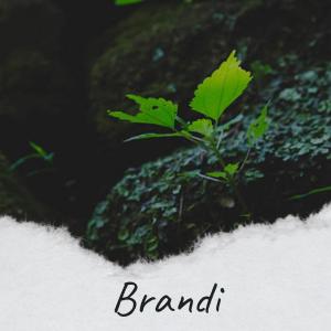 Listen to Verde Walkway song with lyrics from Laras Pril