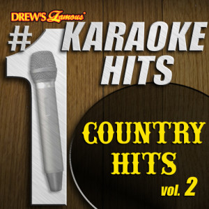 ดาวน์โหลดและฟังเพลง Rocky Mountain High(As Made Famous By John Denver) พร้อมเนื้อเพลงจาก Karaoke